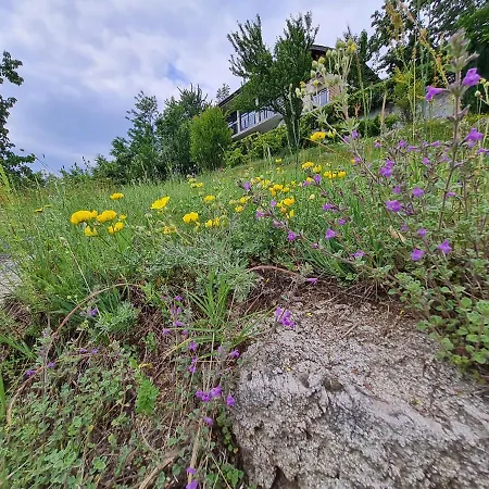 Maison d'hôtes Вила Русинци *